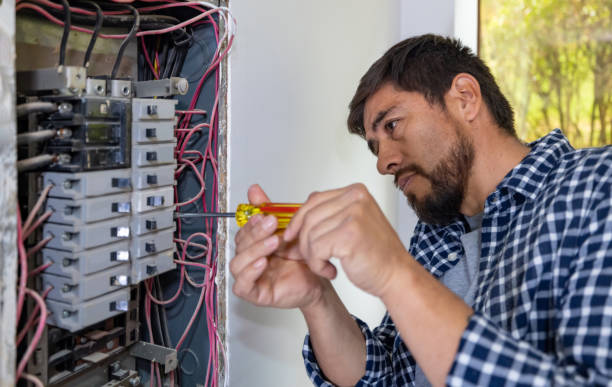 Best Ceiling Fan Installation Electrician  in Lake City, IA